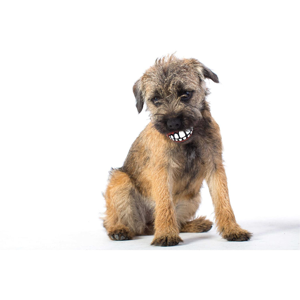 Dog Toy S2504