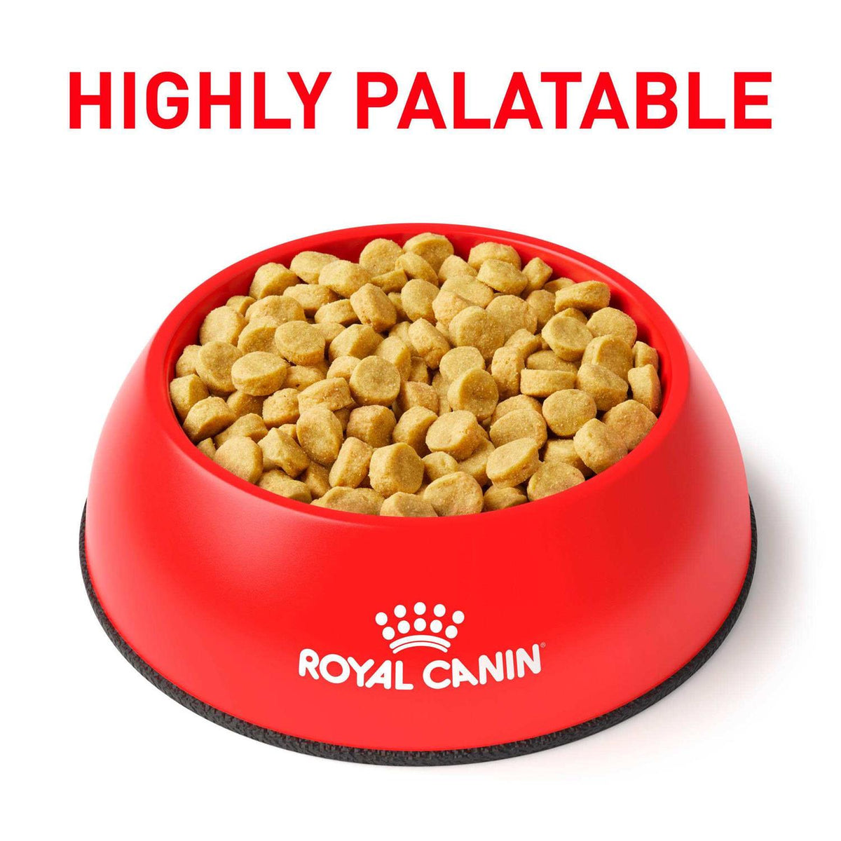 Hydrolyzed Protein Dry Dog Food G634