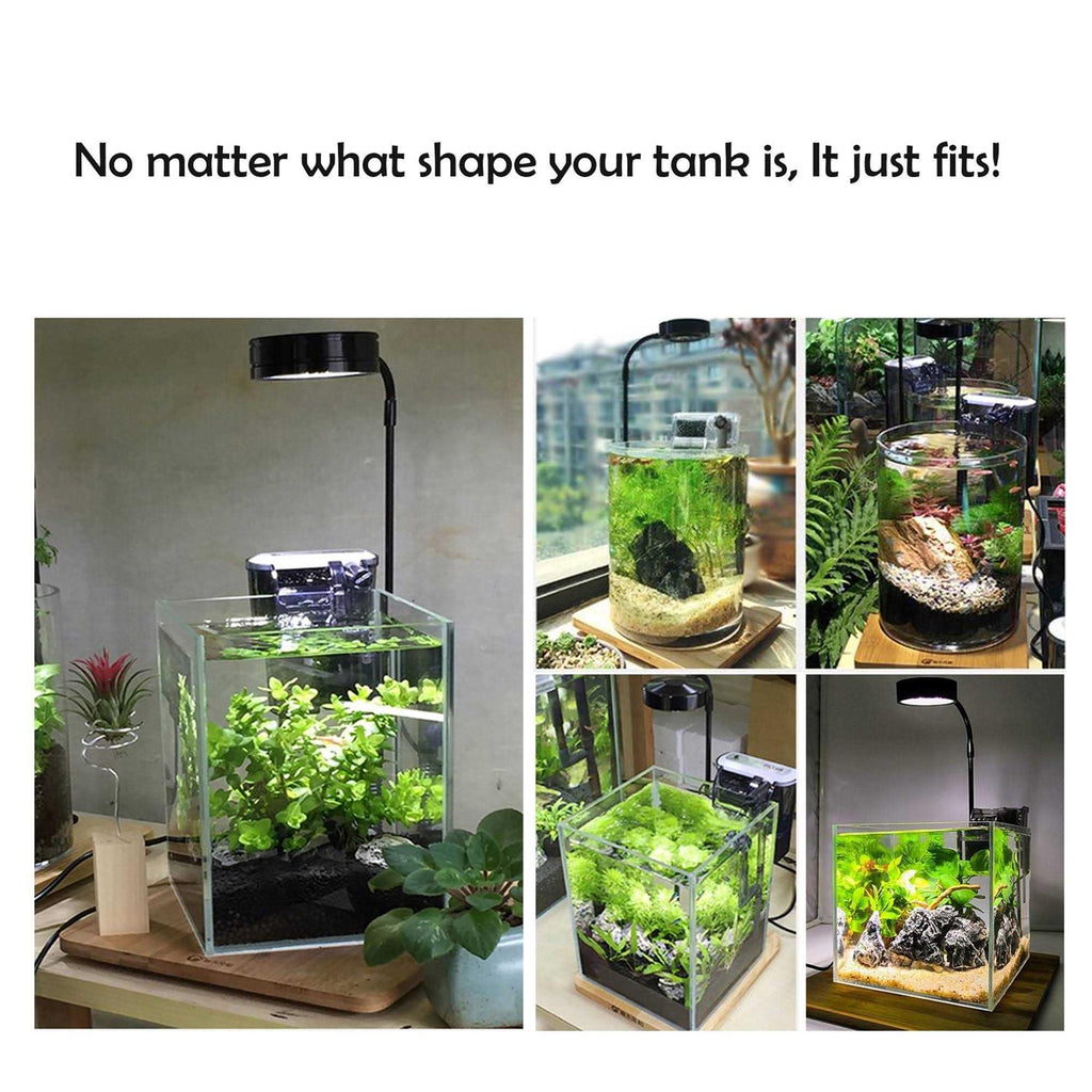 Full Spectrum LED Light with Bamboo Board C48423