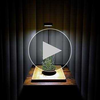 Full Spectrum LED Light with Bamboo Board C48423