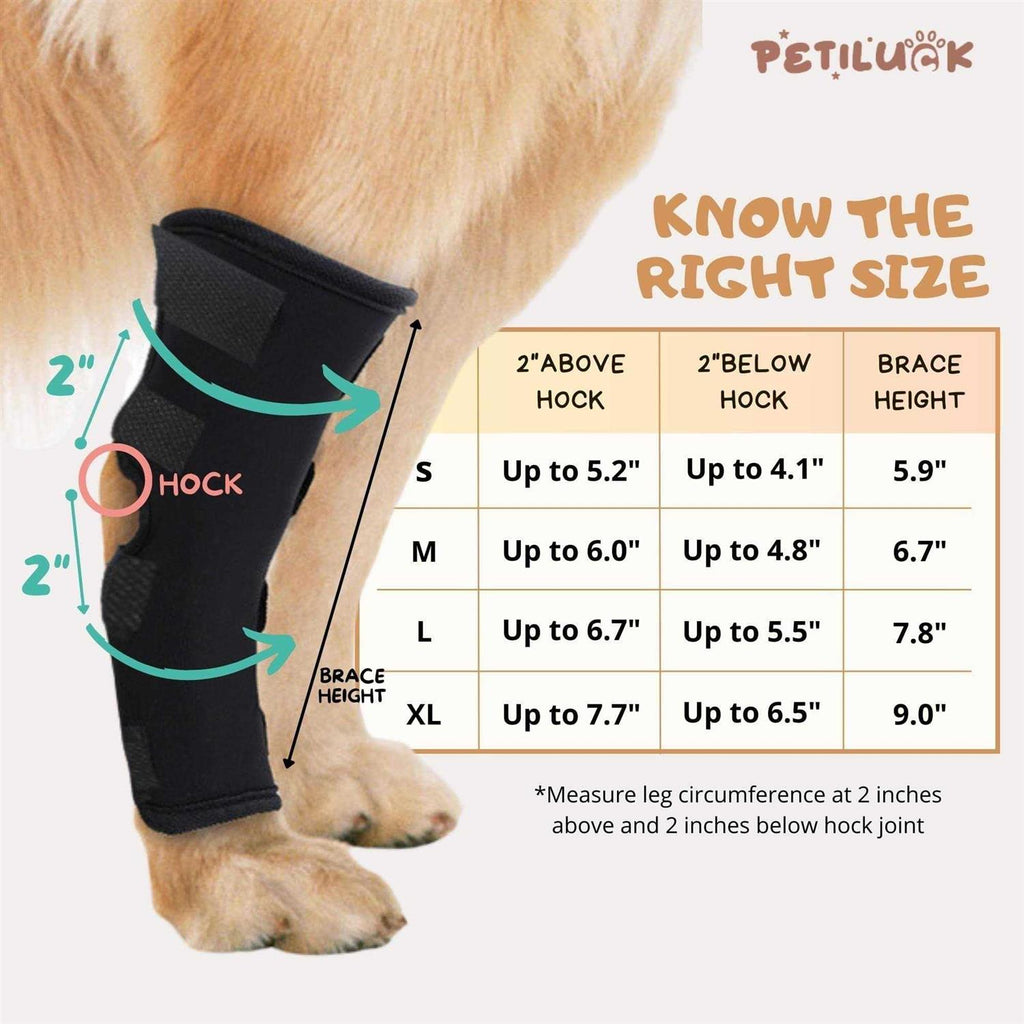 Waterproof Dog Rear Leg Hock Joint Wrap G77024
