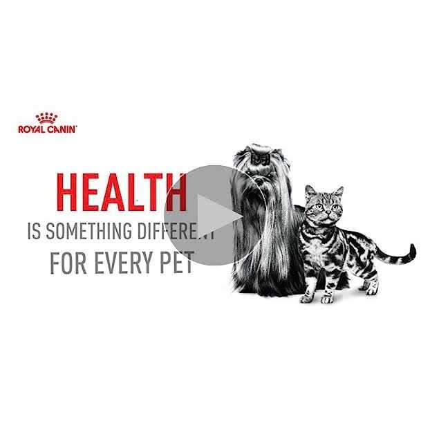 Adult Dry Dog Food W57371