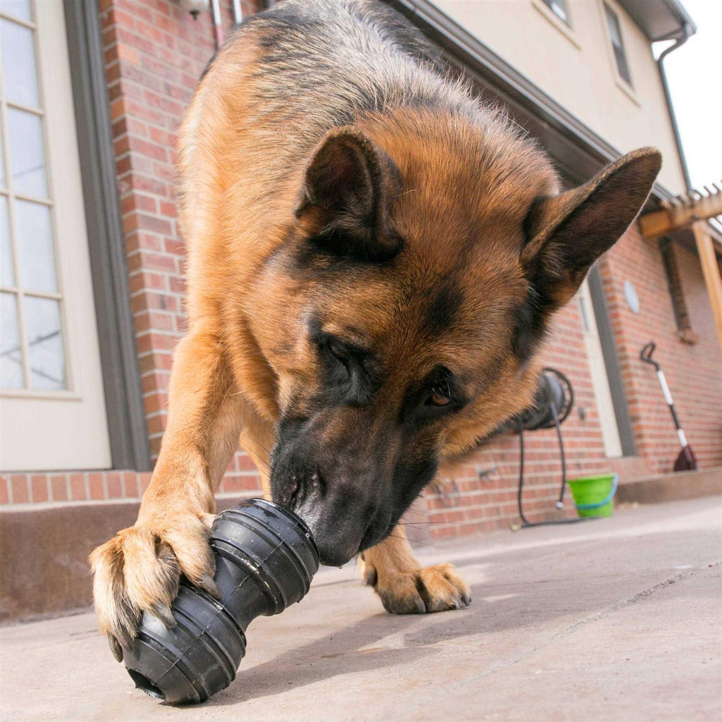 Dog Toy F8257