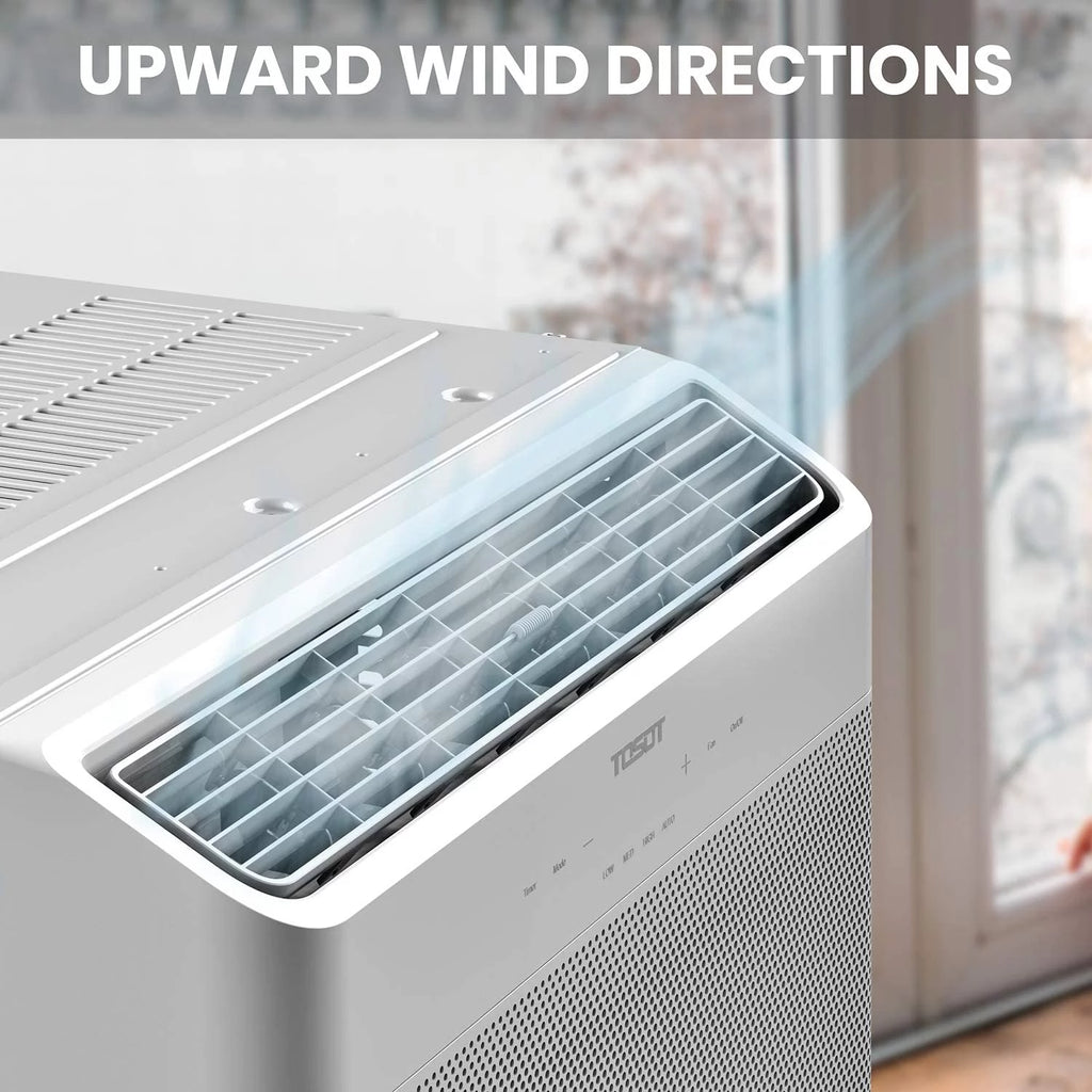 8,000 BTU Window Air Conditioner R16646