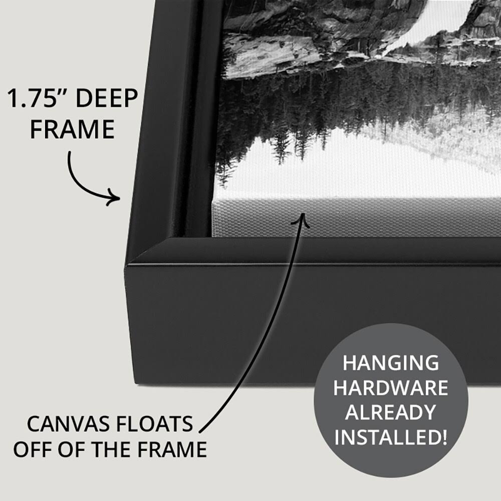 Black Float Frame Canvas Art - 36 x 24 Z542
