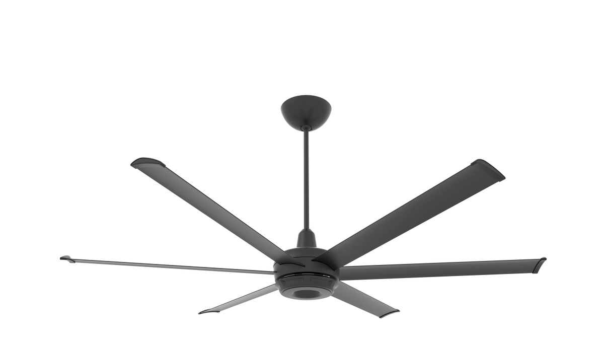 Black Ceiling Fan B550811