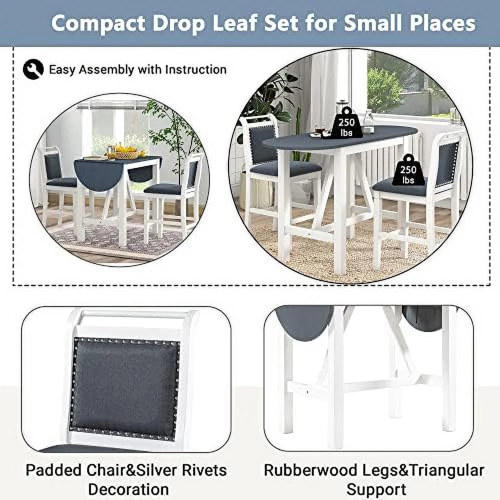 3 Piece Round Counter Height Dining Table Set with 2 Chairs H116