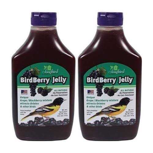 Birdberry Jelly 20 oz C627461