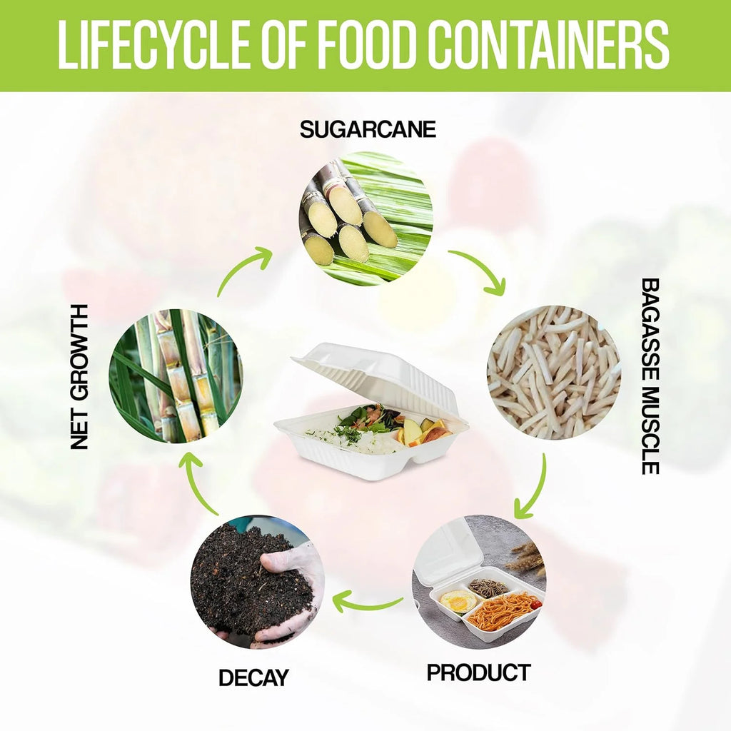 8x8x3 Disposable To Go Containers (25 ct) G115422